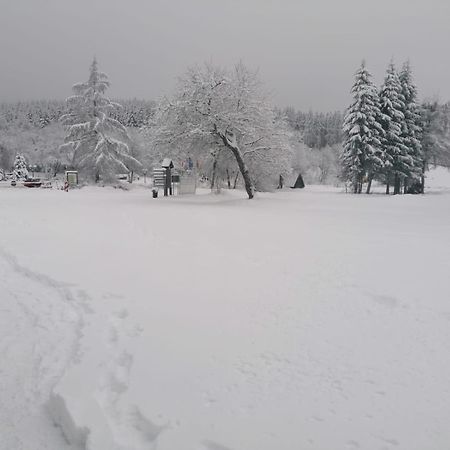 Ferienwohnung Mia Winterberg Ruang foto