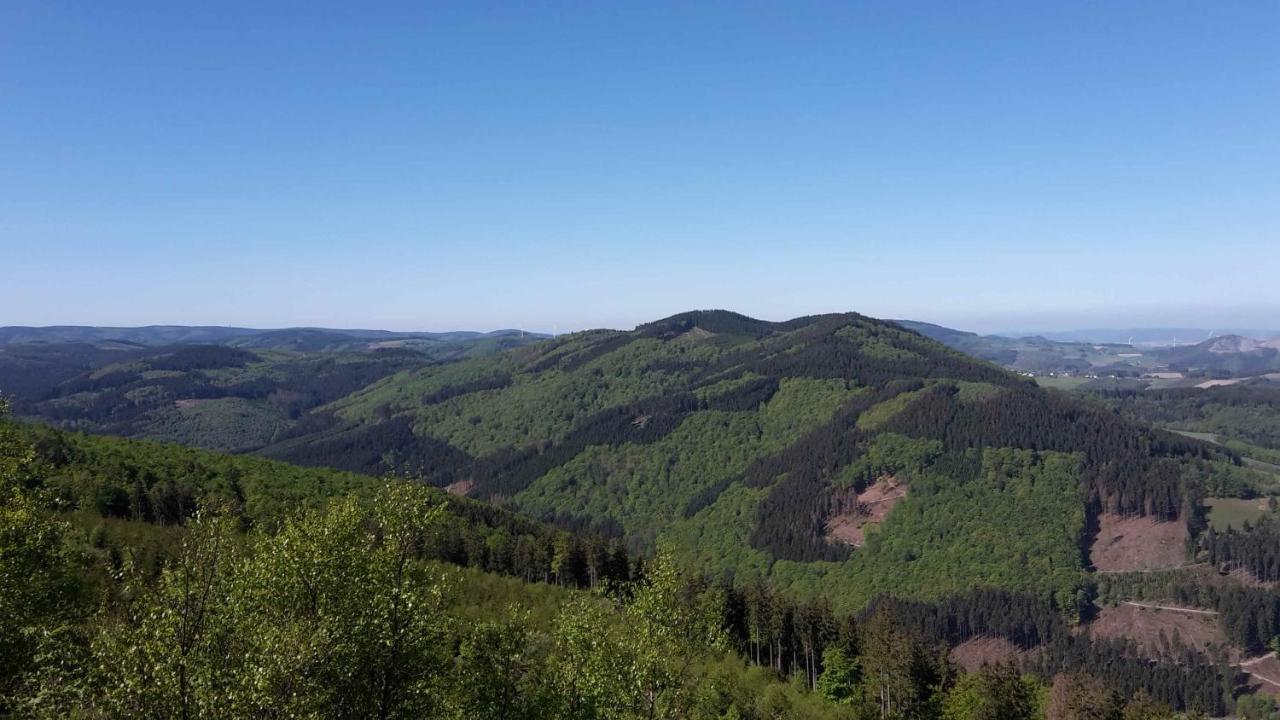 Ferienwohnung Mia Winterberg Bagian luar foto