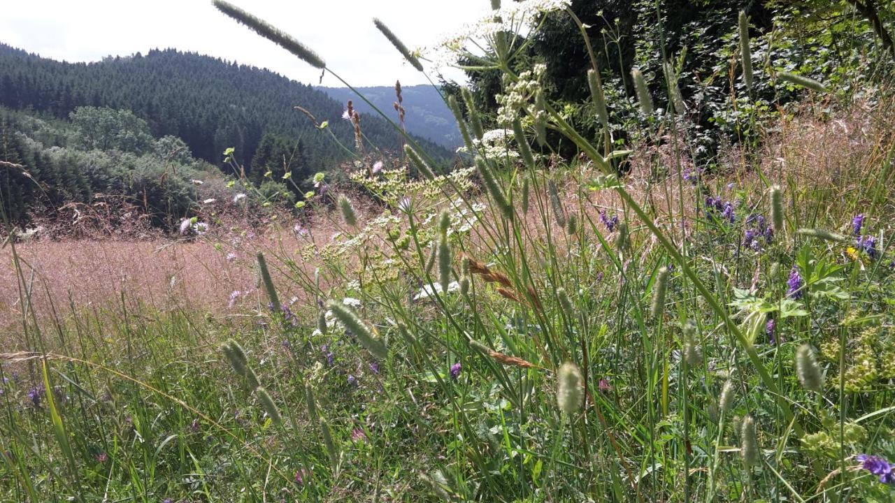 Ferienwohnung Mia Winterberg Bagian luar foto