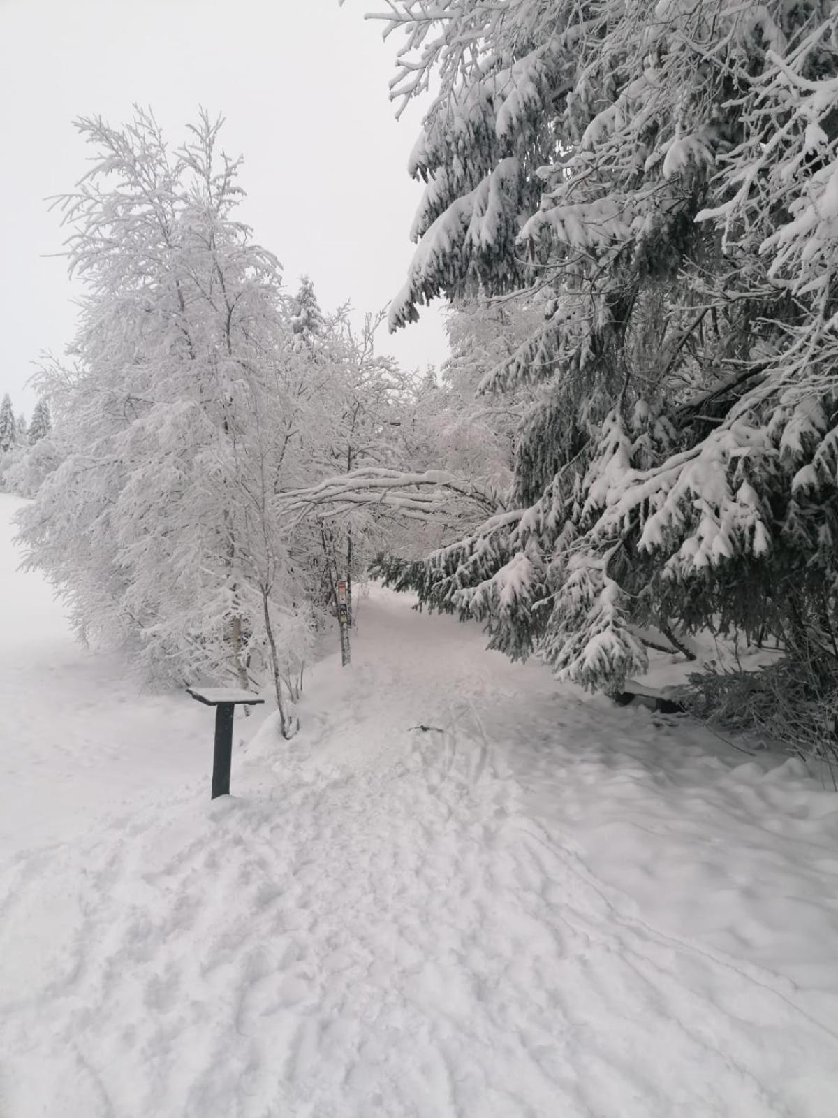Ferienwohnung Mia Winterberg Ruang foto